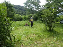 P7127694.JPG