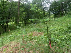 P7127698.JPG